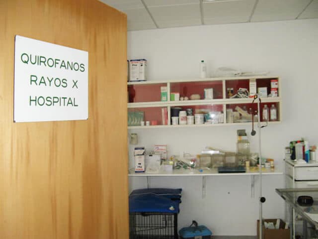 Criaturas. Clínica veterinaria en Vimianzo