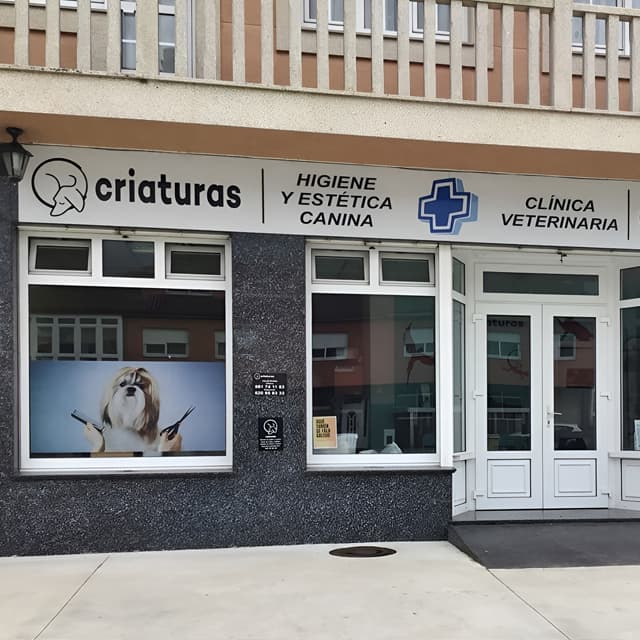 Contacta con la clínica veterinaria Criaturas